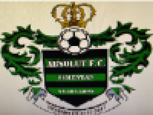 ABSOLUT F.C. (PIMENTAS)
