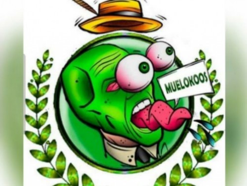 MUELOKOOS