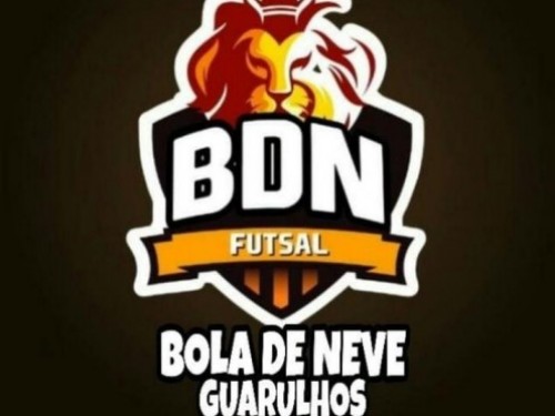 BOLA DE NEVE