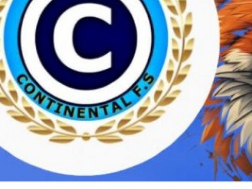 CRUZEIRO CONTINENTAL B